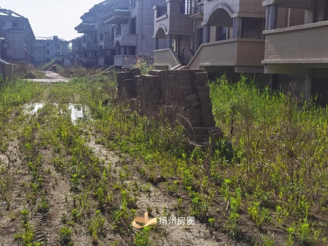 野草丛生、拿房遥遥无期！扬州这个楼盘业主哭了