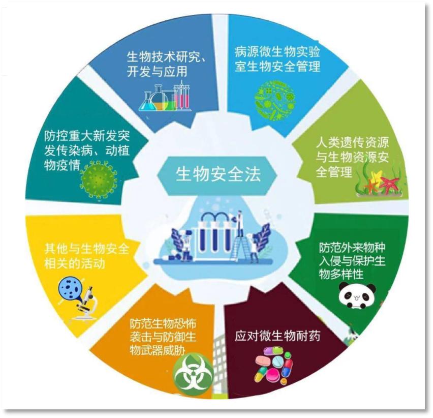 一根香蕉的奇幻旅程,一根香蕉的新奇历程