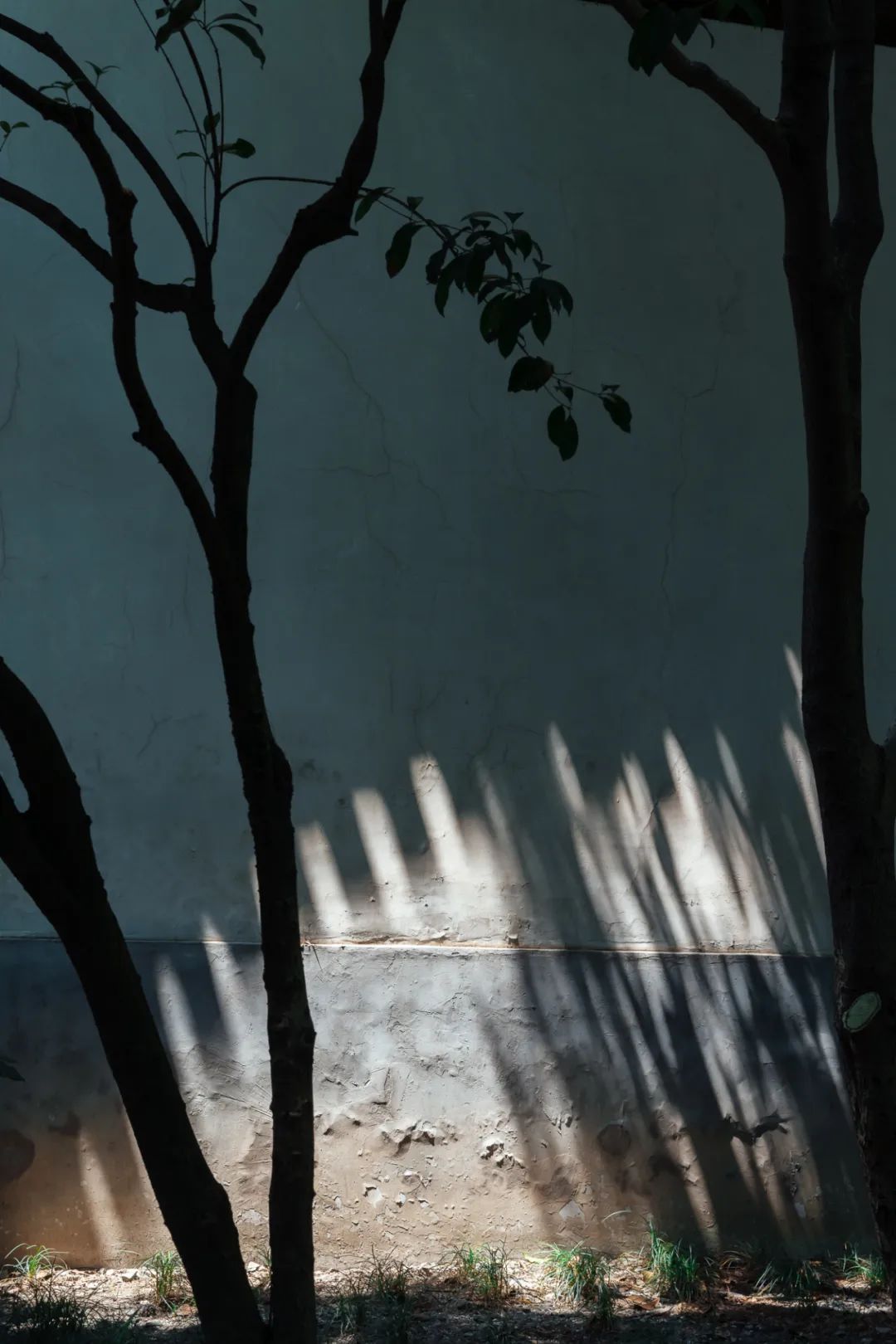 520年一遇，2022上海最浪漫打卡地出炉