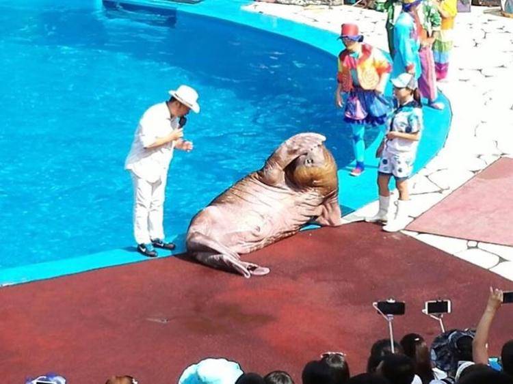 大连旅游攻略3天2夜住宿,大连旅游攻略视频