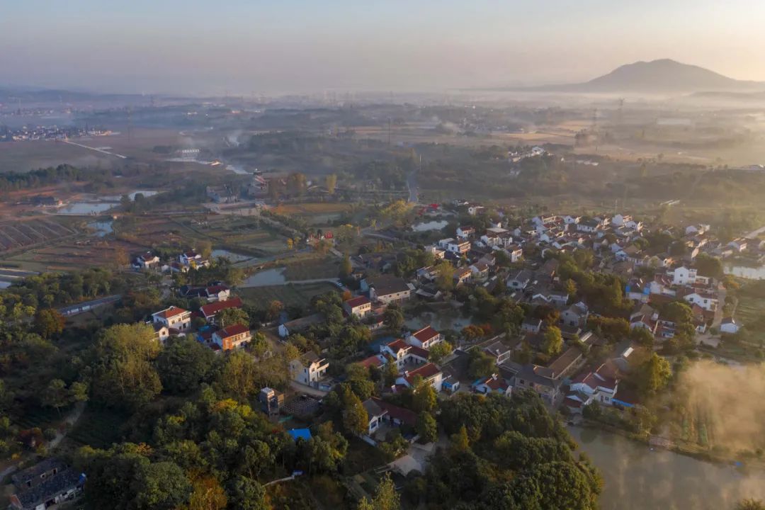 打造美丽乡村建设的金点子,美丽乡村规划与建设典型案例