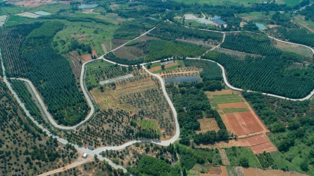 南昌市农业发展投资有限公司,南昌市林业投资发展