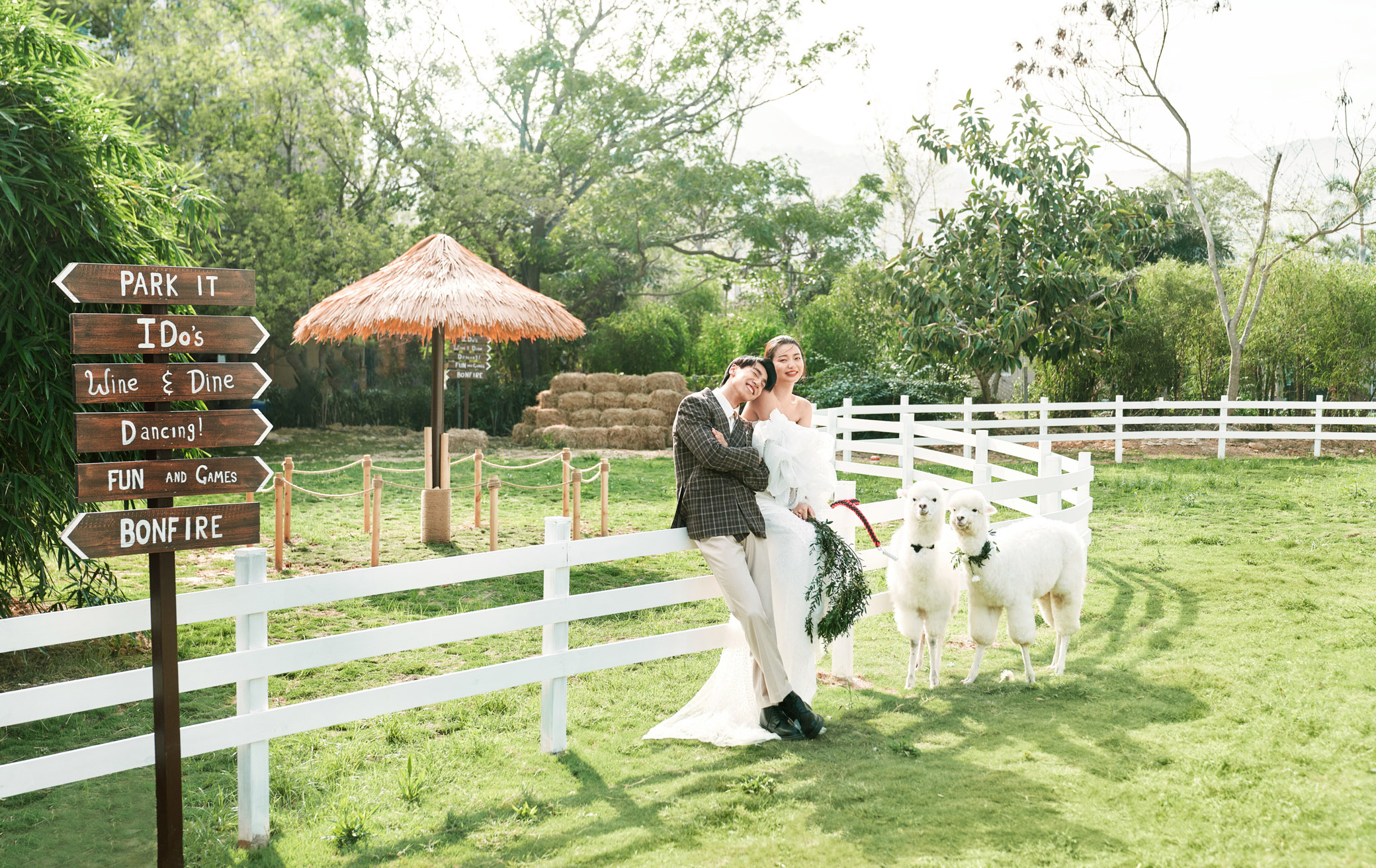 拍摄婚纱照最好的技巧,拍婚纱照姿势大全室外