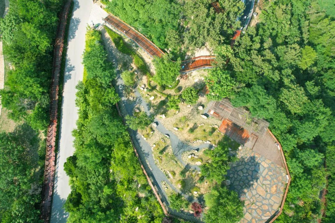 青岛浮山森林公园好玩吗,青岛浮山森林公园开放时间