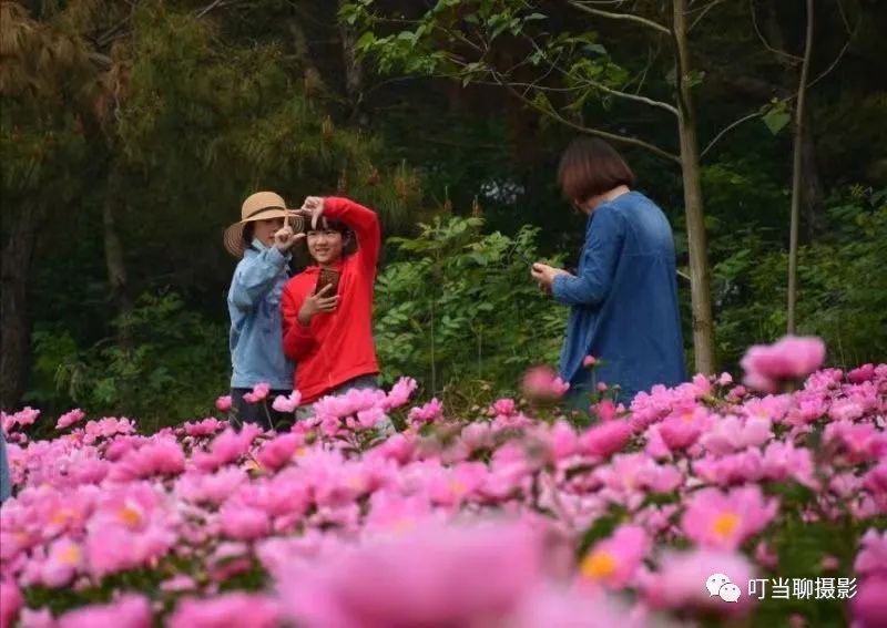 为什么有的人拍出照片来特别好,遇到相似的场景还是会难过