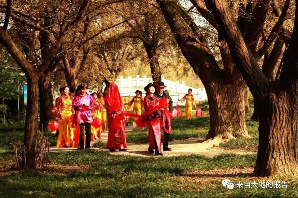 银杏之乡风景图片大全,银杏之乡坪田