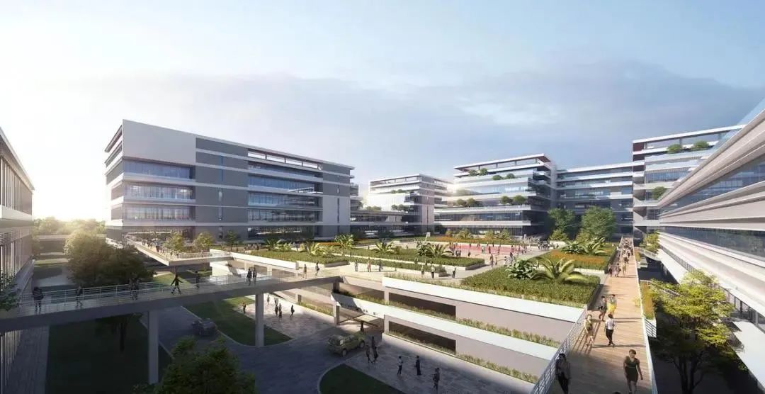 扛起红旗,扛起红旗往前走