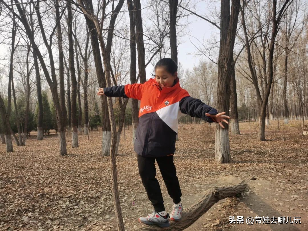 骑行国家森林公园,徒步骑行森林公园