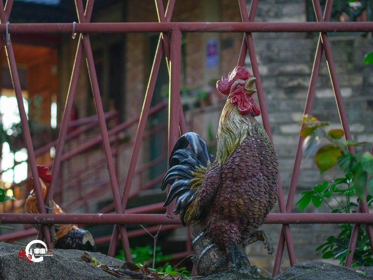 来广东中山一定要品尝的美食,中山老字号美食攻略一日游