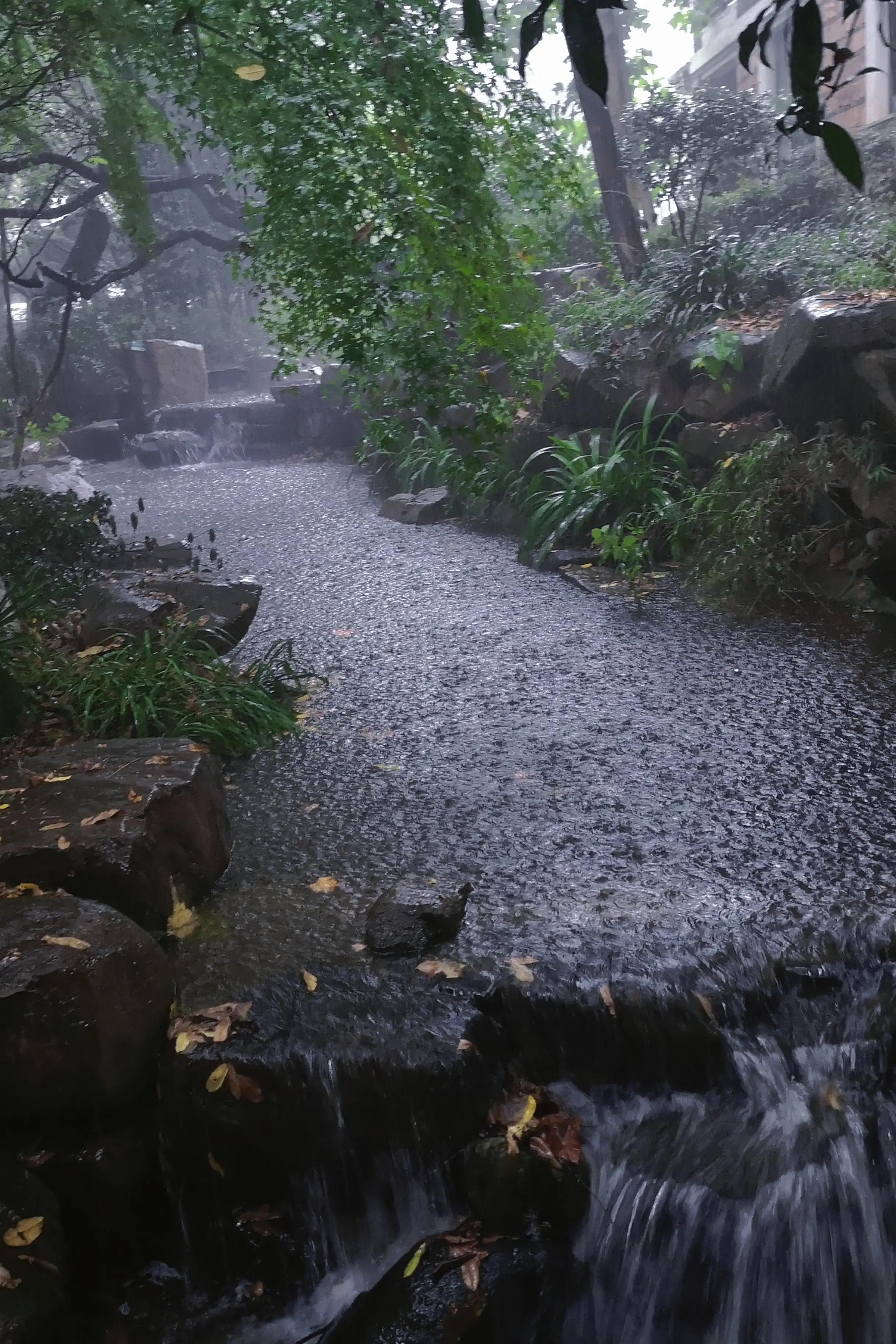 两岁读诗出口成章（天才养成计划之一）