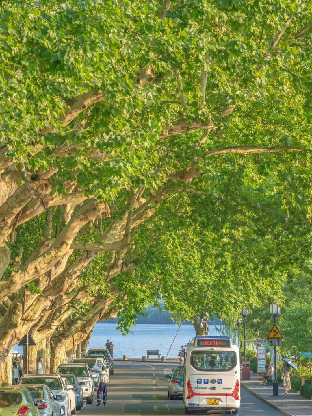 北纬52°1314，这个“为爱而生”的地方，连空气都是甜的