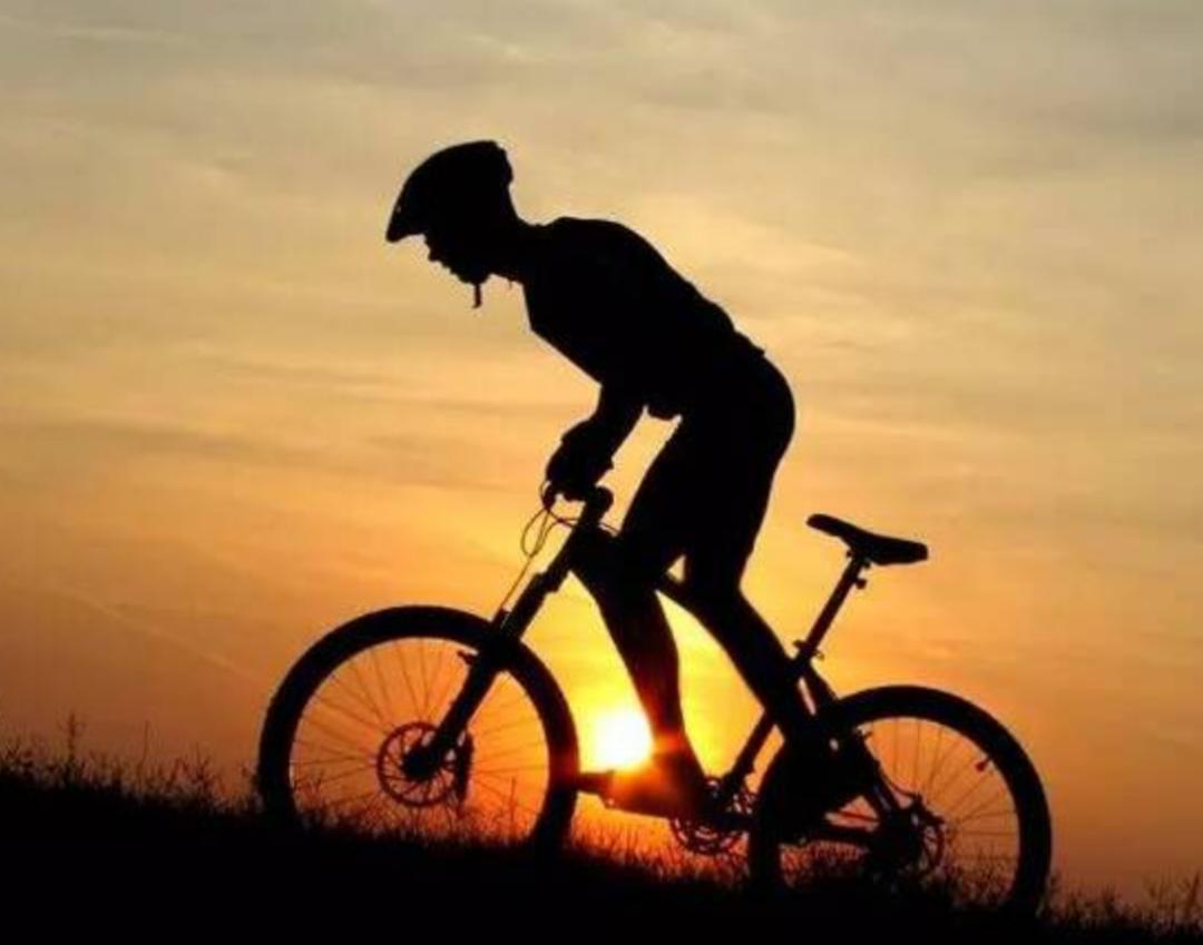 自行车不倒的科学原理未解之谜,自行车世界未解之谜