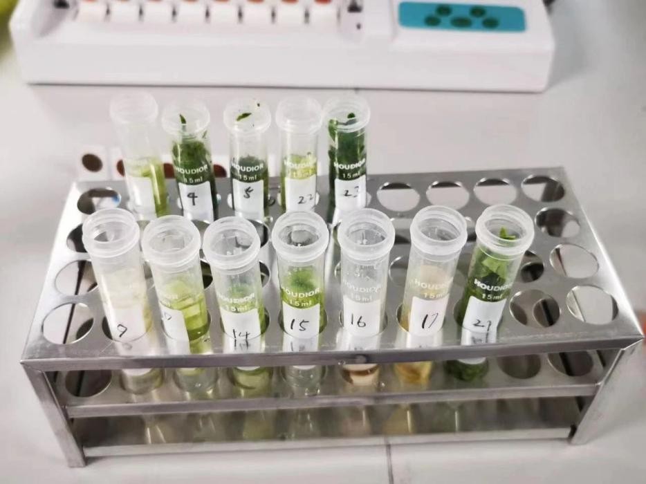 江湖风云起，群英临天下！看百卅武大，横刀立马，仗剑天涯！