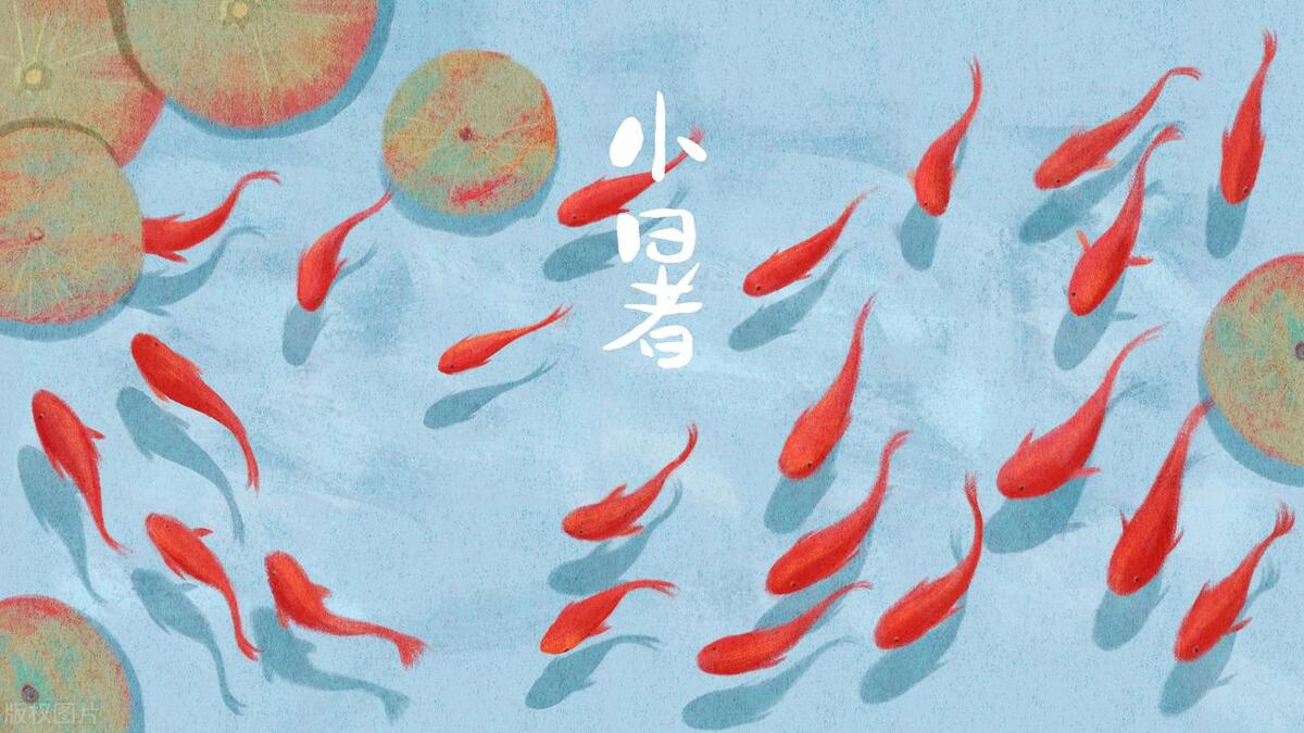 小暑节气苏州吃什么,苏州大暑吃什么传统食物