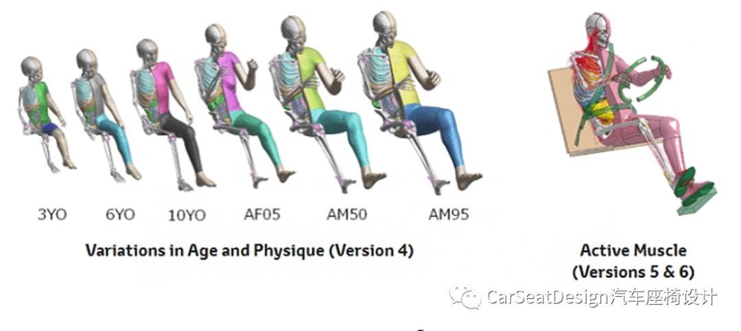丰田改进THUMS软件程序，分析自动驾驶时躺姿状态的人体碰撞伤害