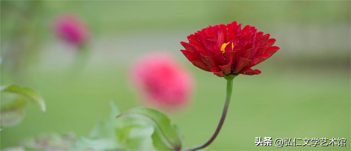 第十四届和平杯京剧票友大赛观感,第六届和平杯京剧票友邀请赛武戏