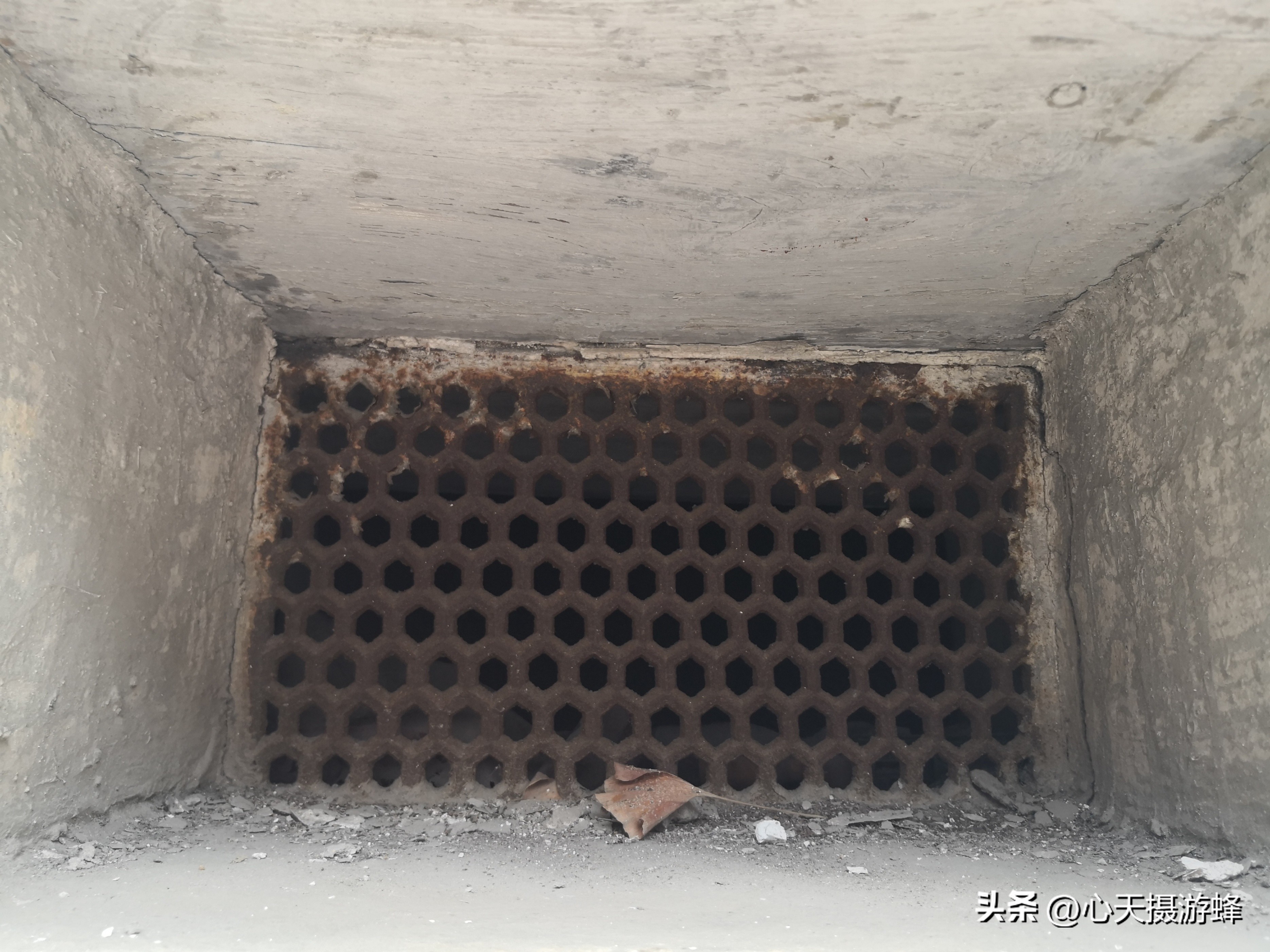 安昌古镇是否要买联票,安昌古镇的联票是看什么的