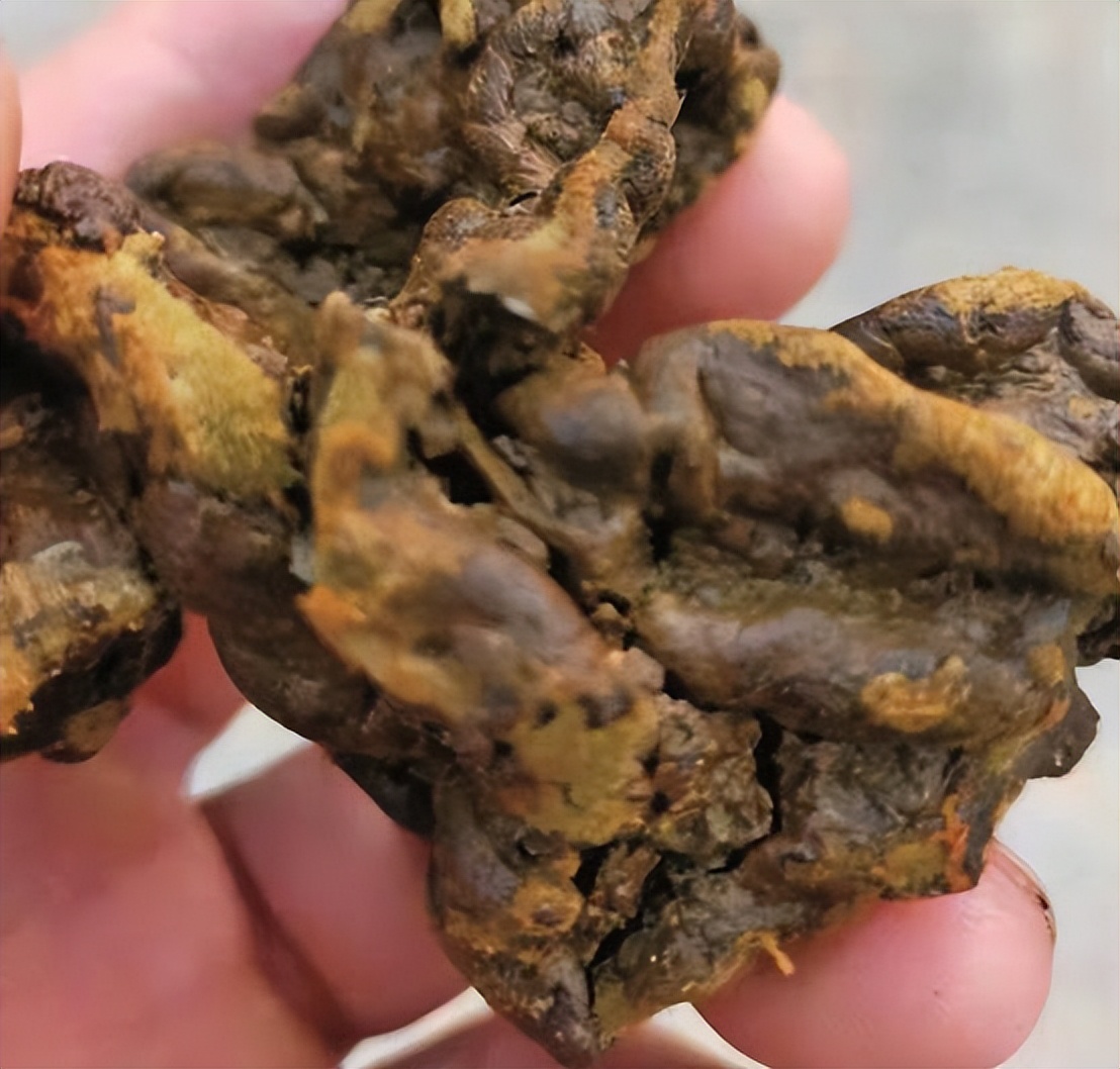 江苏一烧烤店,盐城一烧烤店发现上亿现金