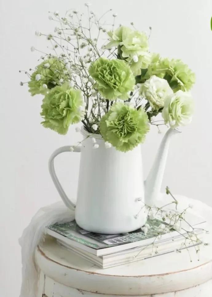 当双子遇到摩羯,摩羯与双子结局