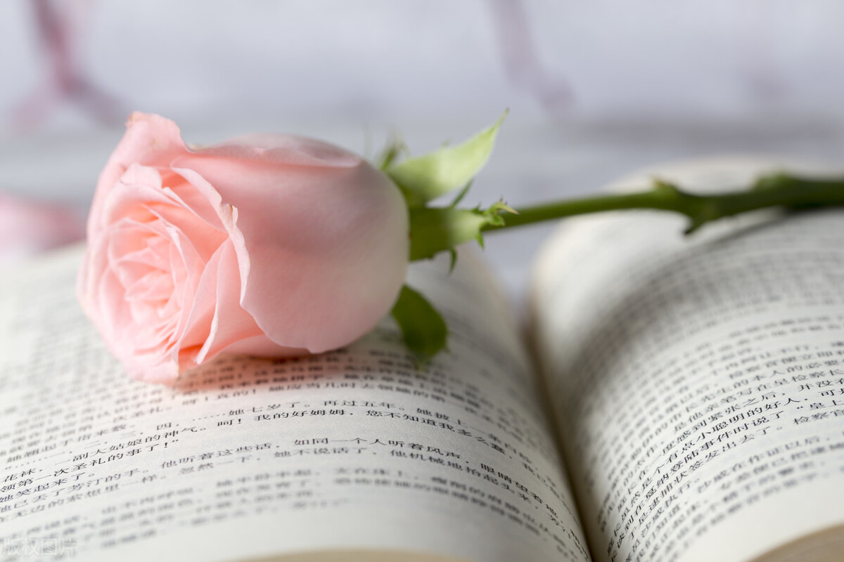 如何免费注册公众号教程,如何免费注册自己的公众号