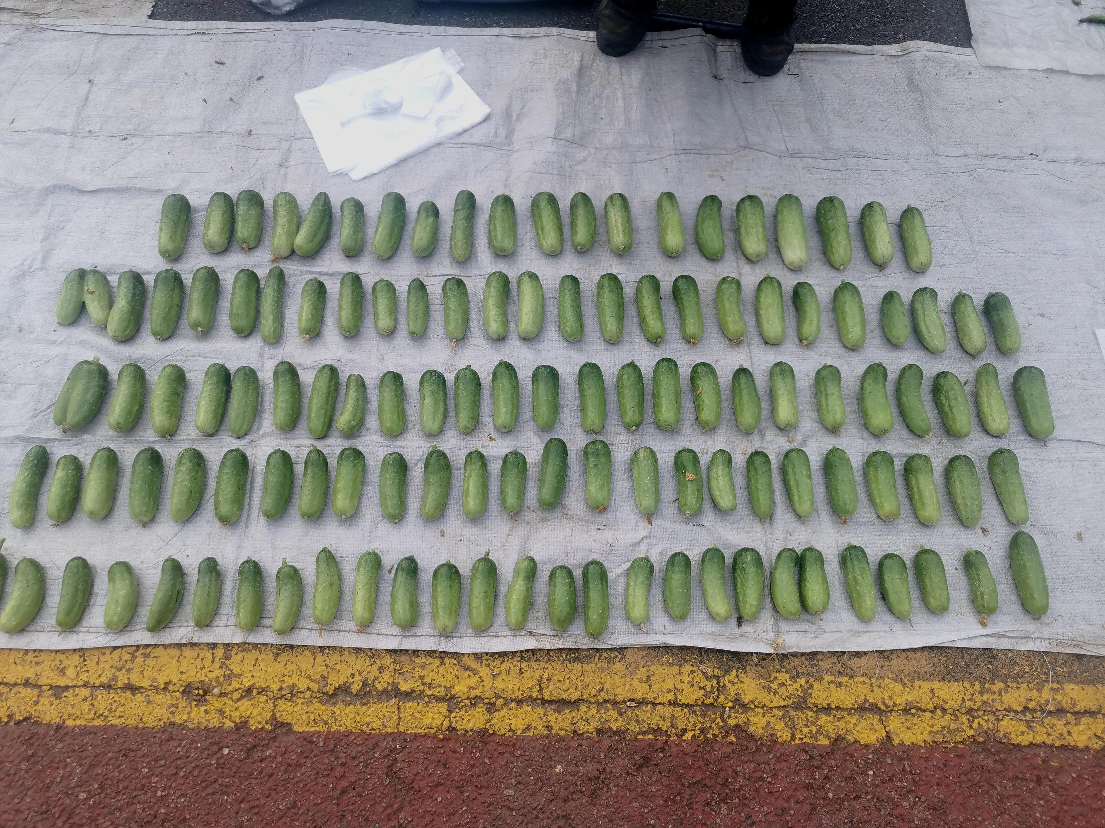 中国申请高句丽世界文化遗产遗址,高句丽历史文化遗址