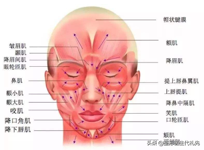做提眉眼袋后需要用疤痕膏吗,提眉留疤痕了怎么办