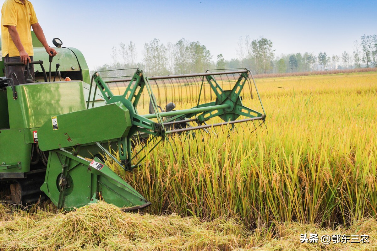 立秋后雨多有什么说法,立秋有雨有什么预兆