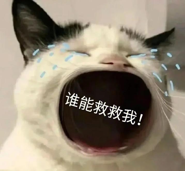 让你又爱又恨的面霜,让人们又爱又恨的软件