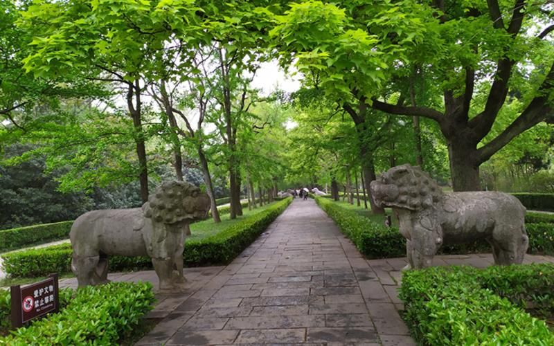 住宿类旅游网站有哪些,旅游住宿app高端