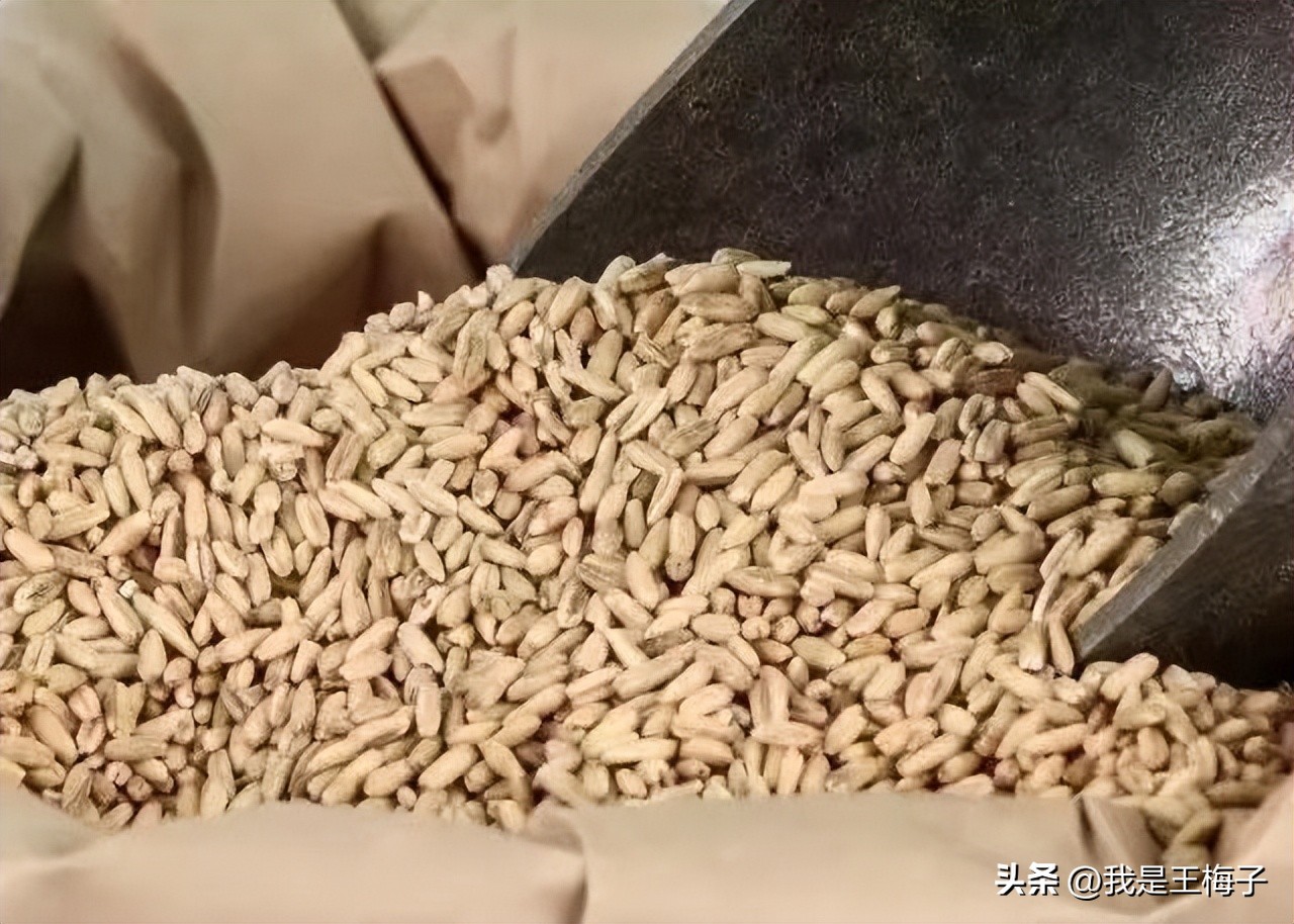 买燕麦选颗粒还是片,便宜的燕麦片和贵的有什么区别