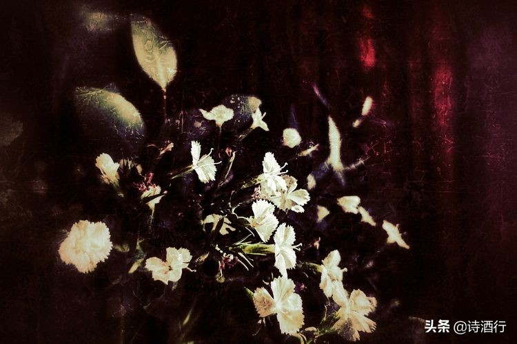 “昔人已乘黄鹤去”，继忠已经离开我们整整一年了