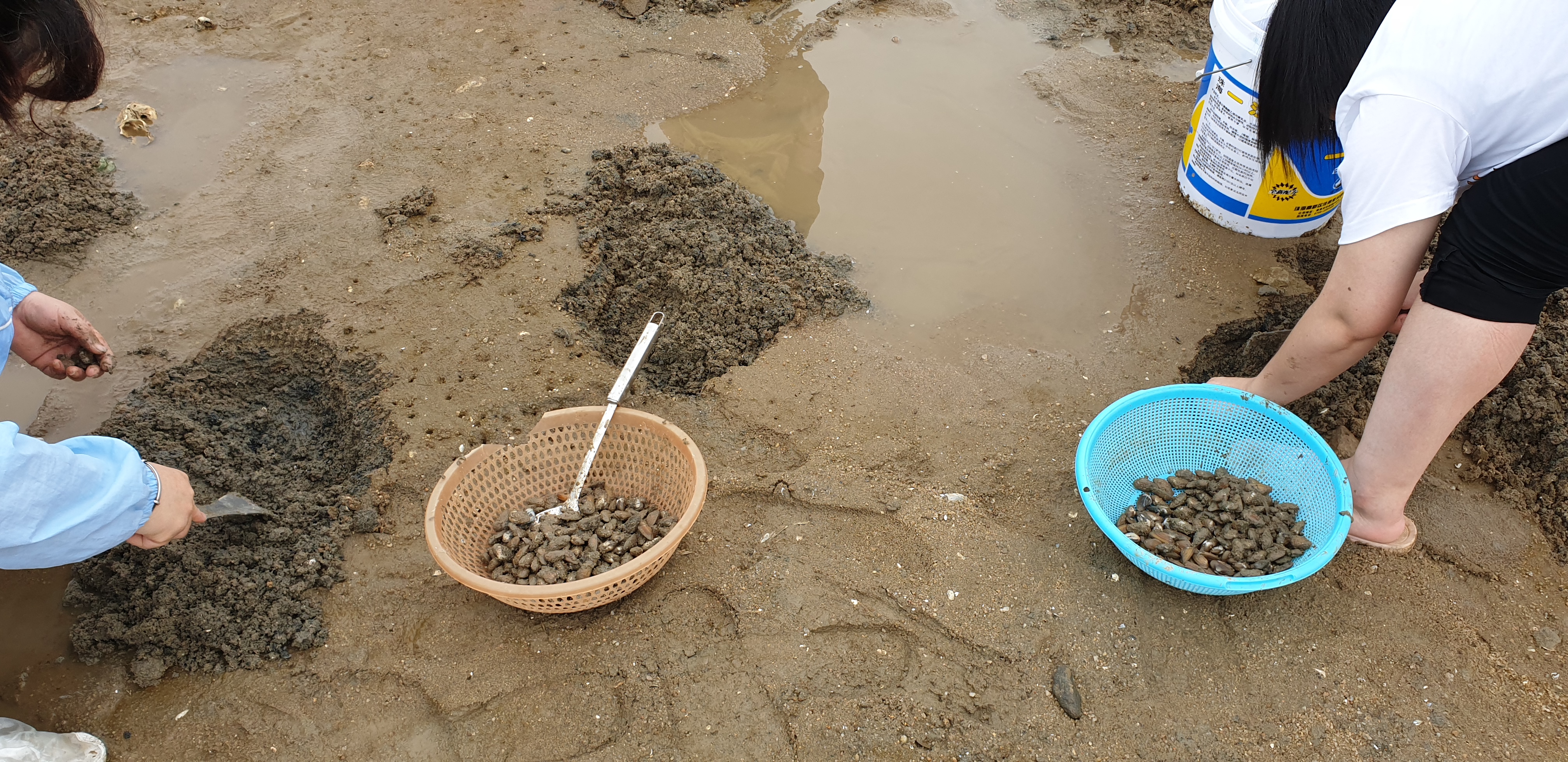 珠海的唐家湾,珠海唐家湾填海工程