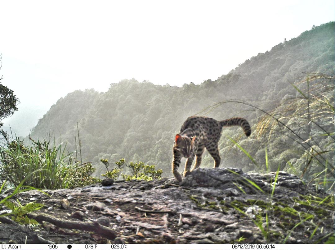 我的城我的家简谱,我的城我的家