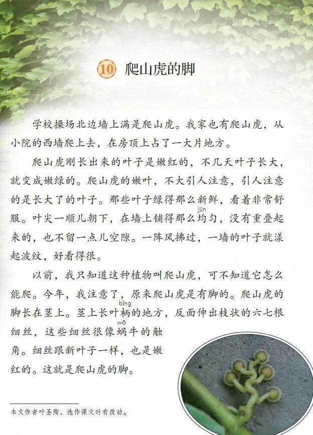 人教版小学语文（四年级上册）课本电子版暑假预习快收藏