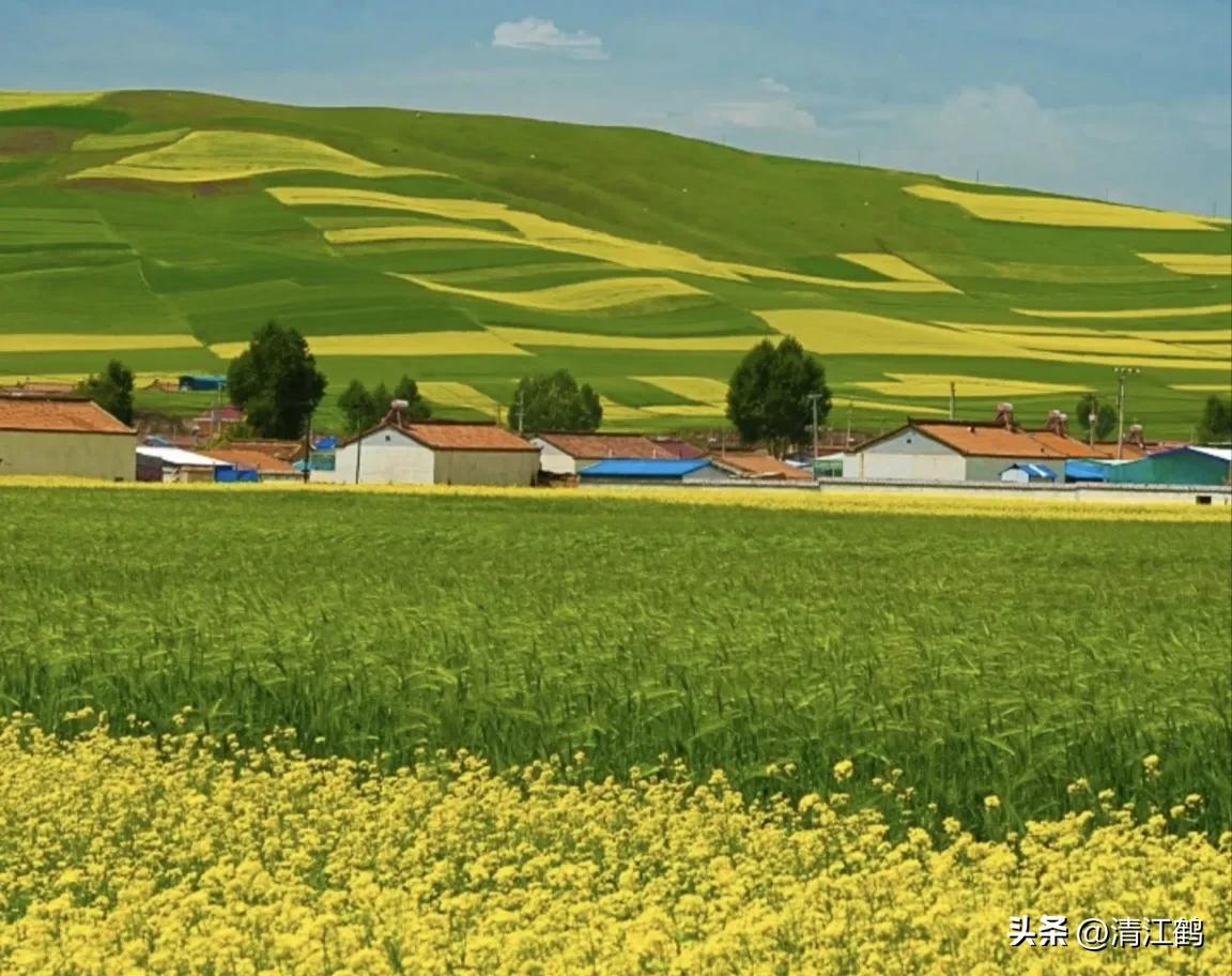 人称“蜂花醇”，有“9大增产用途”，对照使用，可提质增效