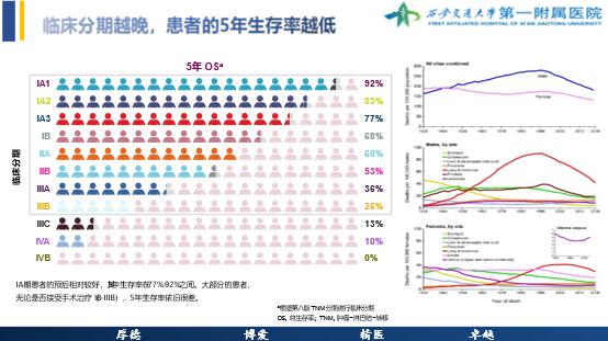 肺结节门诊与胸外科门诊区别,肺结节专科门诊是什么科