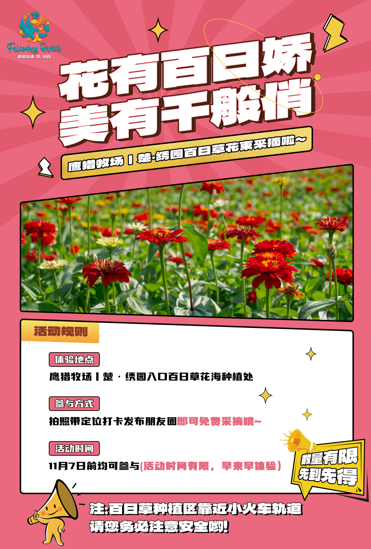 现在去刚好！千亩油画花海等你来采摘