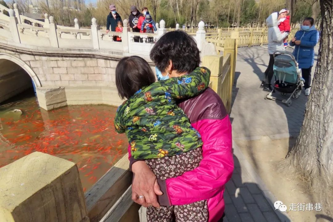 爷孙隔代亲的经典歌曲,爷孙隔代亲