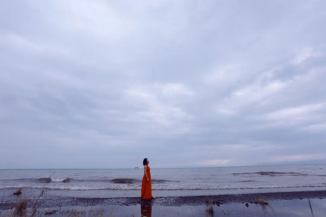 谁动了我的奶酪后续,谁动了我的奶酪主要内容