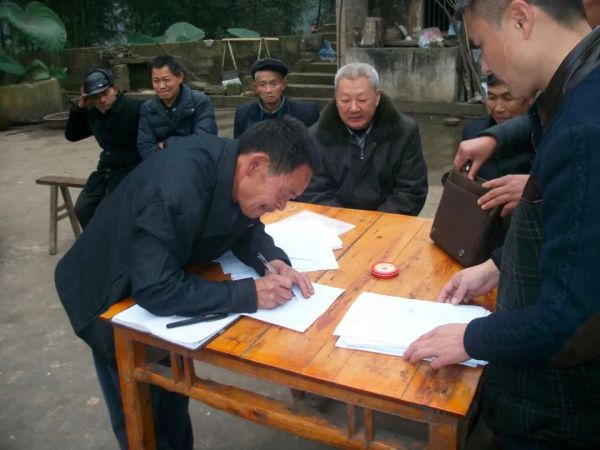 农村土地确权了山林没确权怎么办,农村土地确权后没有耕种会怎样