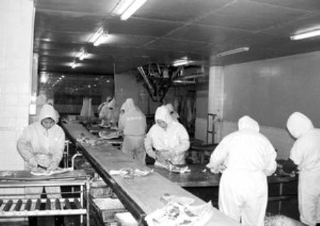 那些年你吃过的垃圾食品,那些年你吃过的特产