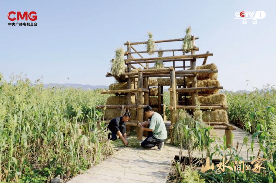 纪录片山水之间之柿饼之乡,探访柿饼制作工厂和传统农家
