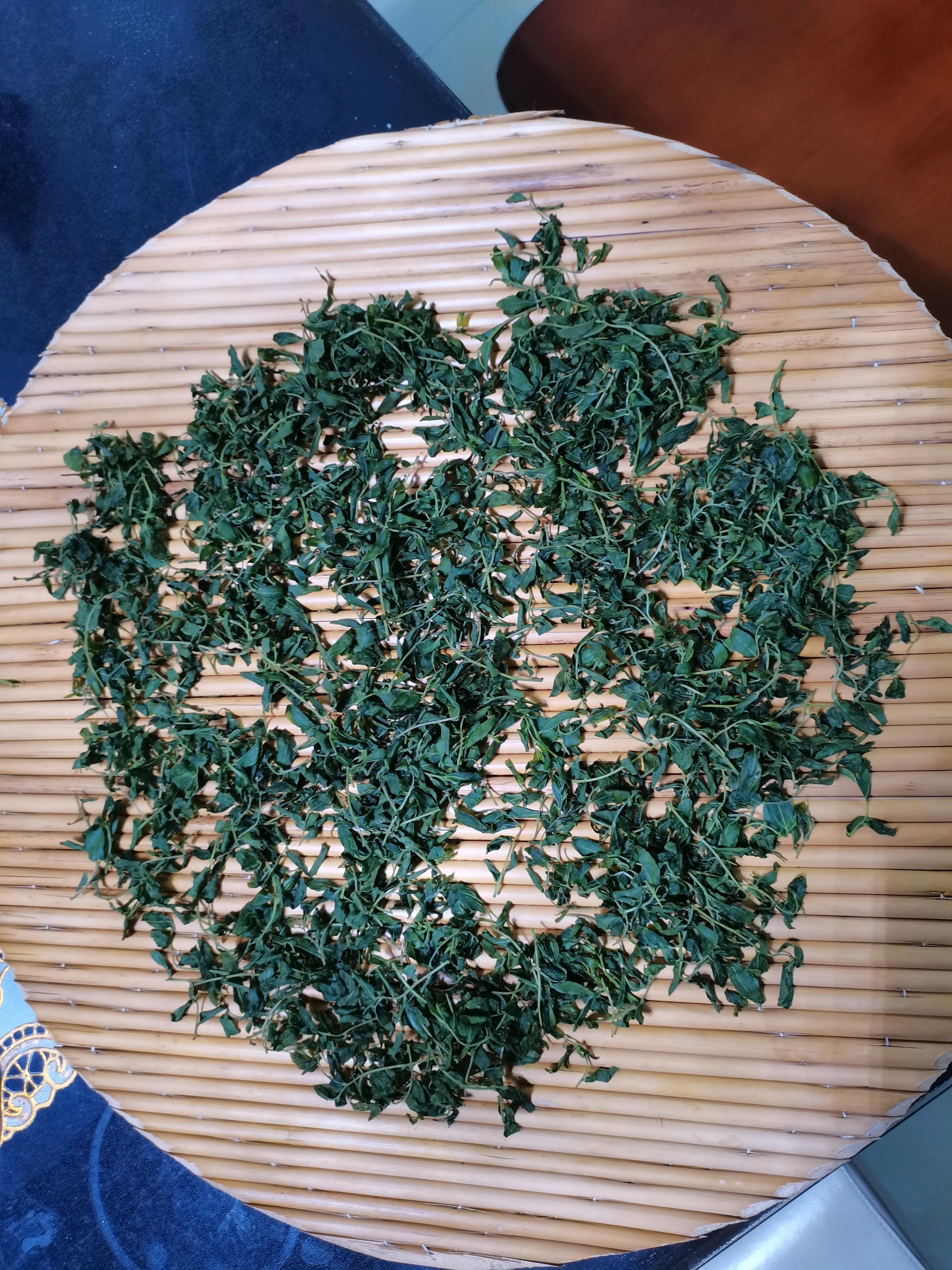 酸枣叶制茶做法,山上的野生酸枣叶可以采摘做茶吗