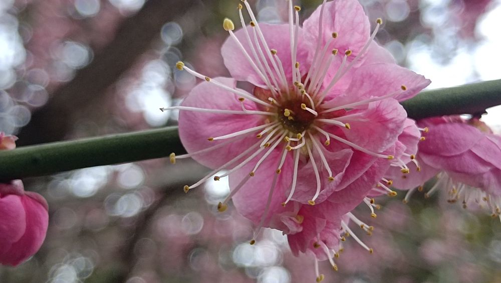 人生最难的不是辛苦而是心苦,人生再苦也要乐在其中