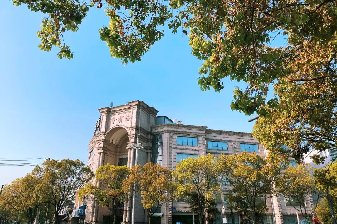 1年有150天住酒店,44次旅行,47次飞行!这江南女子怎么做到的?