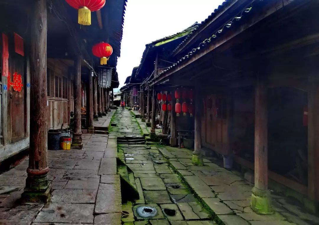 雅安避暑自驾游2-3天,雅安避暑游攻略