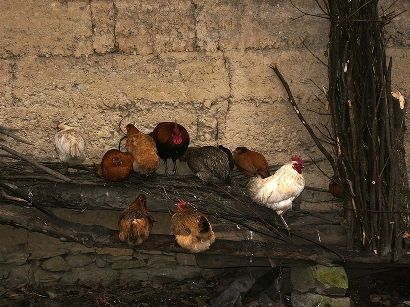 石门坎小学,石门坎部队医院