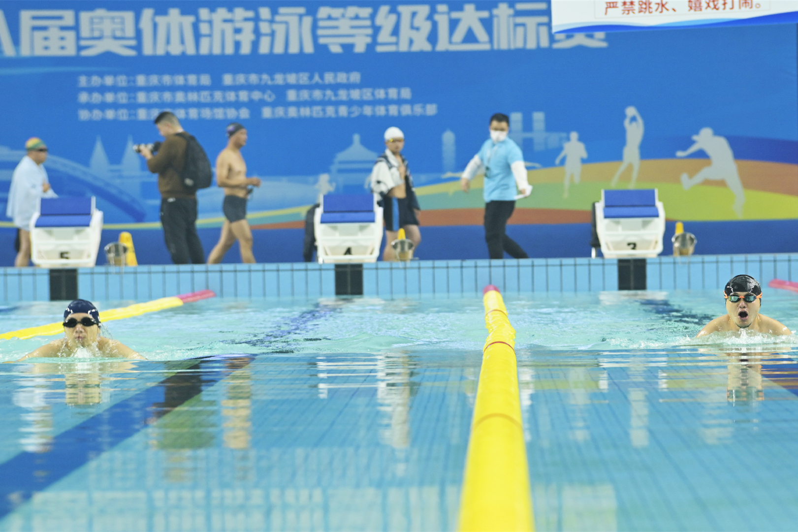 成都金海豚游泳达标赛,金海豚游泳达标证书