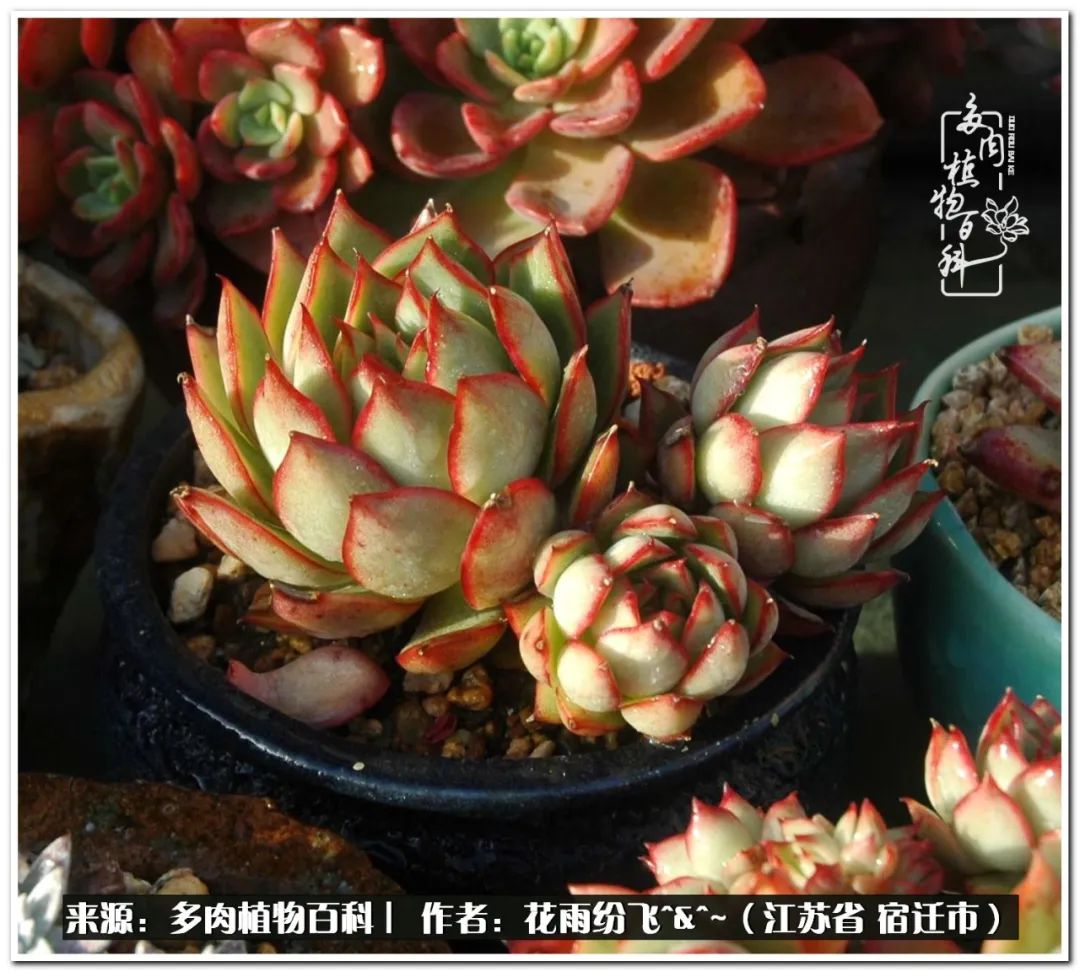 快乐的童年时光视频,回味快乐的童年美好的时光