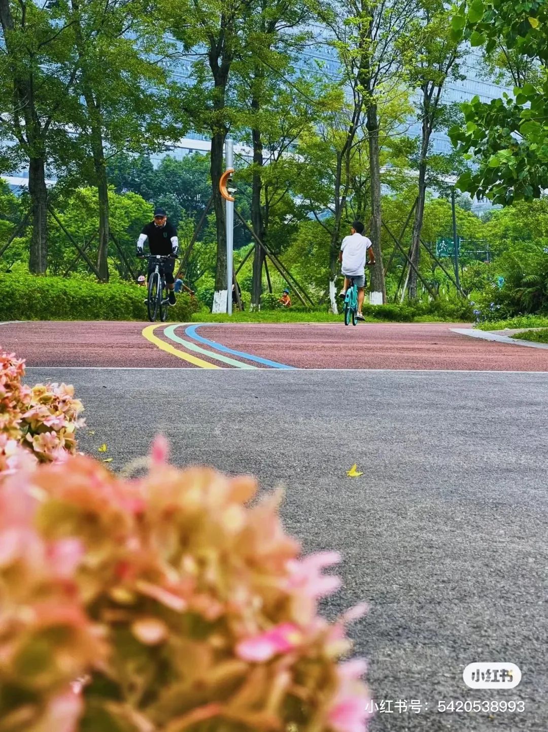 成都免费露营地推荐过夜,成都周边露营地推荐自驾